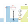 Τρίποδο Δαπέδου Ring Light 10 ιντσών με Βάση για Κινητά 210cm - D78 - Изображение 2 - Sellzone.bg Τρίποδο Δαπέδου Ring Light 10 ιντσών με Βάση για Κινητά 210cm - D78 - Изображение 2