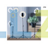Τρίποδο Δαπέδου Ring Light 10 ιντσών με Βάση για Κινητά 210cm - D78 - Изображение 5 - Sellzone.bg Τρίποδο Δαπέδου Ring Light 10 ιντσών με Βάση για Κινητά 210cm - D78 - Изображение 5