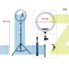 Τρίποδο Δαπέδου Ring Light 12 ιντσών με Βάση για Κινητά 210cm - D79 - Изображение 1 - Sellzone.bg Τρίποδο Δαπέδου Ring Light 12 ιντσών με Βάση για Κινητά 210cm - D79 - Изображение 1