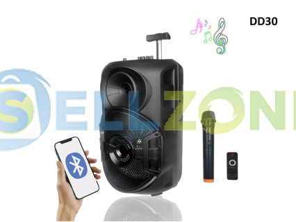 Ηχείο Bluetooth 12" Στερεοφωνικό Subwoofer Bass - DD30