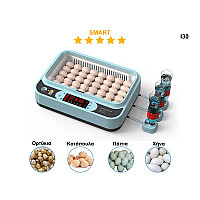 Νέας γενιάς έξυπνη αυτόματη θερμοκοιτίδα για 36 αυγά - I30