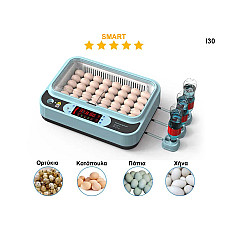 Νέας γενιάς έξυπνη αυτόματη θερμοκοιτίδα για 36 αυγά - I30